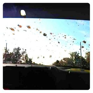 Meet your Posher, Katelyn